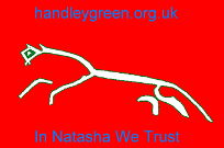 The Handley Green Website Flag